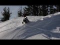 Mt. Adams December Sessions