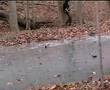 the frozen lake in winter - silence