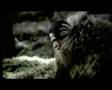 DreamKeeper - trailer - www.elephantfilms.com