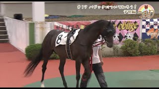 #17 パドックについて知ろう! 予習編
