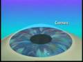 Ada laser vision correction