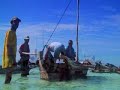 Karafuu Hotel Activities