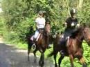 balade chevaux2