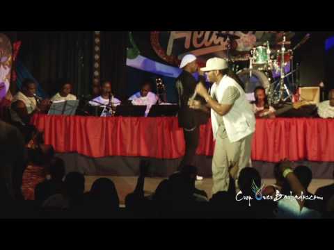 Calypso Tents