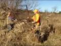 videos de Nov 28 2008 - VID00013