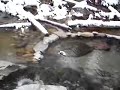 Winter Hot Springs in Idaho