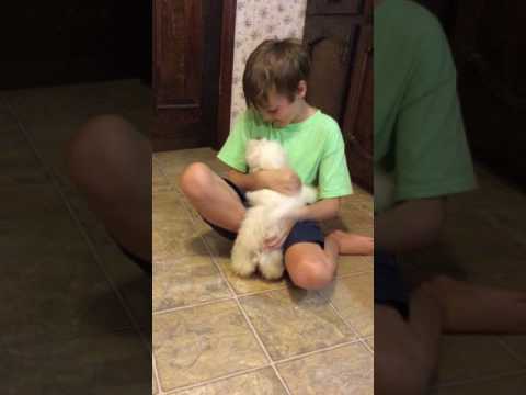 Polar loving attention