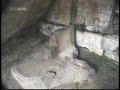 Conoce MachuPicchu II