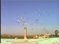 küme ve karısma kusları videosu suriye bölük video 1 www.atesfehmi.tr.gg