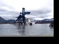 Seward Alaska Ship Cruise on Prince William Sound  Sea Life