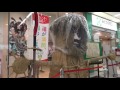 「週末パス」の旅・福島編#14 磐越東線 船引→郡山 2015/06/27 磐越東線