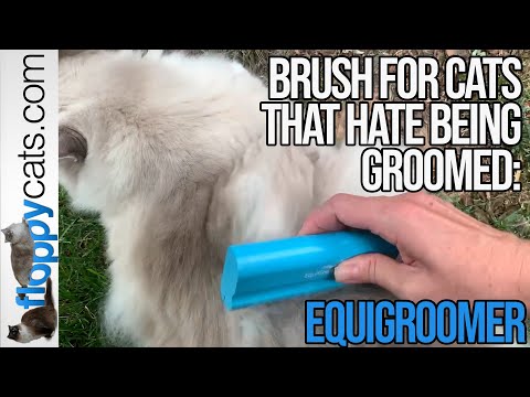 Best deShedding Tool for Cats: EquiGroomer Video