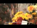 Yvonne Schmedes - Blumen und Grün in Hannover