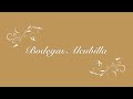 Visita Virtual a Bodegas Alcubilla