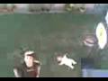 videos de La guagua 3 de 4