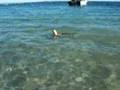 In the bay with the seals