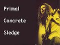 Pantera - Primal Concrete Sledge by halcyon1871