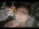 our family pet and member cheeko is a tough lil puppy whos a hymopheliac and has been threw so much that in his final days (we hope not) just to remember our dog we will never forget and love forever.