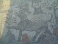 Mallakastra&Laberia Heroike!