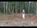 videos de The private eye's, short video.