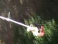 benadonf fly