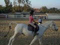 Phoenix & Abba Ride Phoenix & Abba Ride