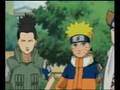 Naruto,Shikamaru,Neji,Choji e Kiba AMV