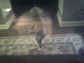 Video_120809_001.3gp
