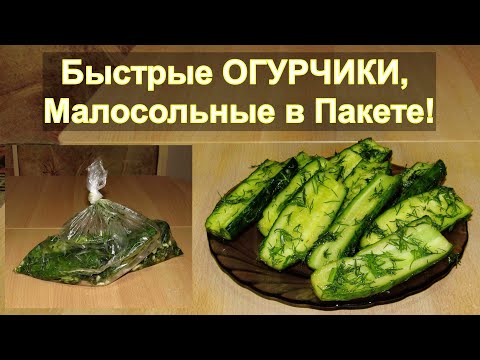 Игрушки для щенков и собак своими руками, мягкие, головоломки Дрожжевое тесто от А до Я: Пошаговое приготовление. Рецепты