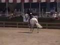 Zazou Hoffman-USHJA Hunter Derby HITS Thermal