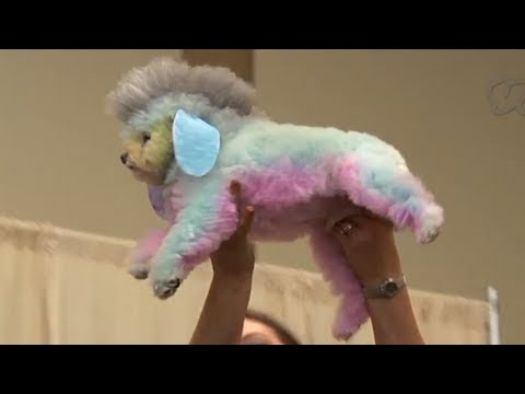 Dog Grooming Expo - The Cute Show - VICE