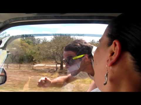 Costa Rican Superman