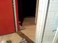 jezev?�k Tade�? blbne