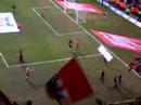 toby-tyke-barnsley-fc-the-tykes-up-the-reds.html