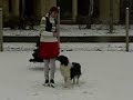 Christmas Dog-Dancing with Falcor Christmas Dog-Dancing with Falcor