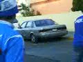 La sangre asia el jalisco awante azul