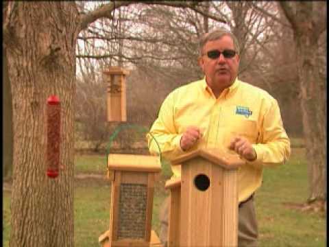 how to attract purple martins in nj
