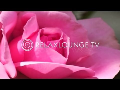 Musik - Gesundheit, Spa & Wellness - Yoga Musik, Spirituell, Heilen & Energie - DENKE POSITIV Unsere Relax Videos verbinden instrumentale Hintergrundmusik mit Naturb...