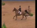Ben Maher (GBR) & Robin Hood W, (R.1) World Cup Qualifier, Olympia, London 2009