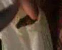 il my gattone scemo