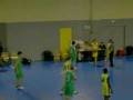 montage basket_0002.wmv