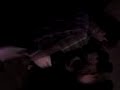 MOV00005.3gp