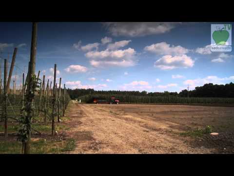 how to fertilize mushrooms