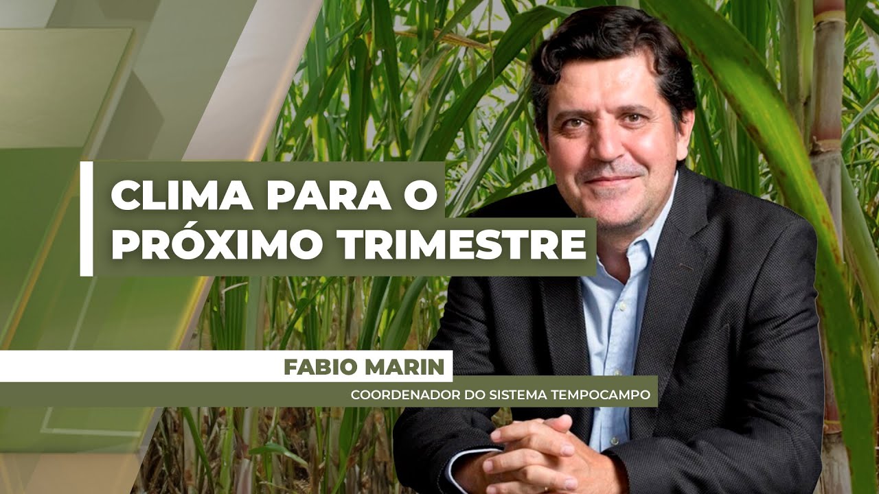 Clima para o próximo trimestre deve ser marcado por poucas chuvas e baixa probabilidade de geadas