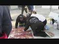 Mosaic Concrete Rug System