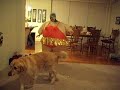 Fat Chick Crank That - Soulja Boy