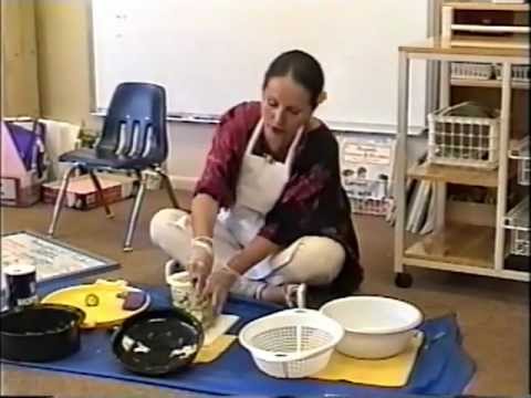 how to collect zucchini seeds