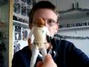 Admiral Ackbar Mon Calamari Officer (POTF + POTJ) Admiral Ackbar Mon Calamari Officer (POTF + POTJ)