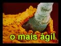 Somos vencedores