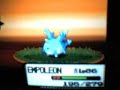 Shiny Corsola With Poke Radar Shiny Corsola With Poke Radar